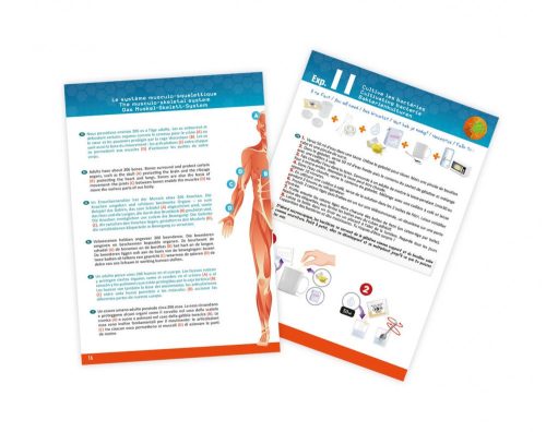 Tudományos készlet-Az emberi test