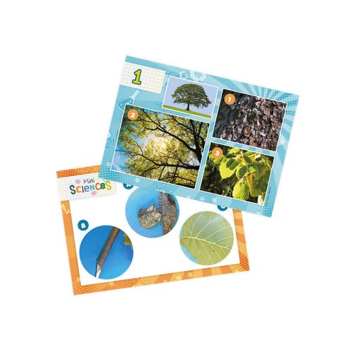 Mini tudomány-Mikroszkóp