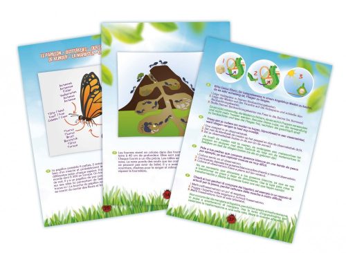 Rovar vizsgáló szett