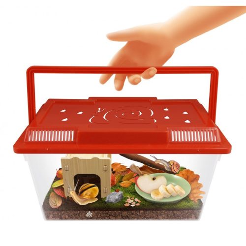 Csiga megfigyelő terrárium