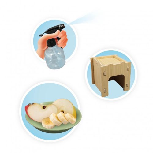 Csiga megfigyelő terrárium