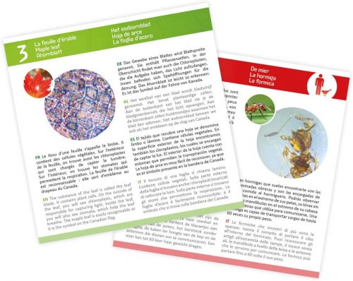 Preparációs szett mikroszkóphoz 20 db kártyával