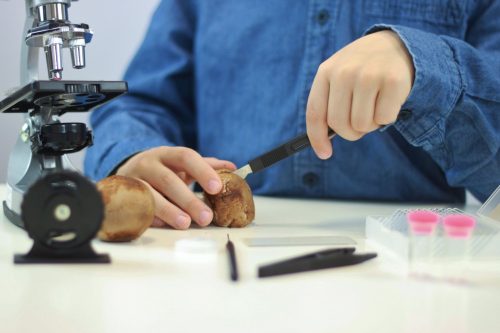 Mikroszkóp 30 kísérlettel