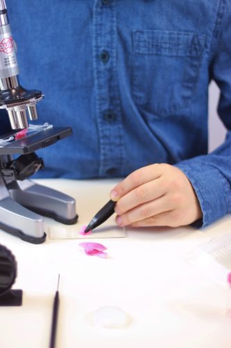 Mikroszkóp 30 kísérlettel