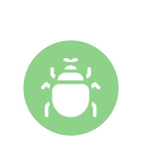 Természet és megfigyelés