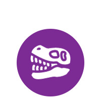 Dinoszauruszok és régészet